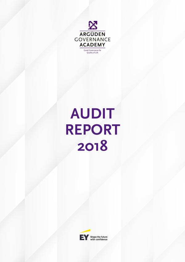 2018 Audit Report