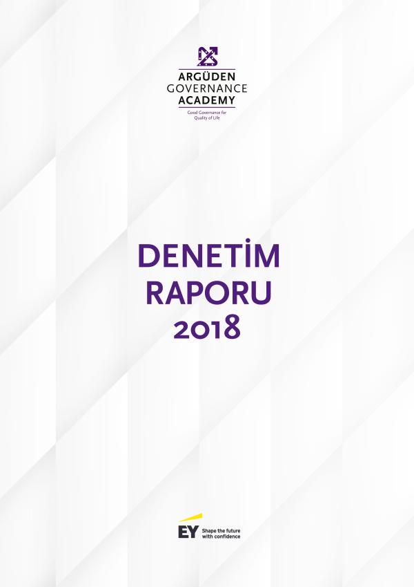 2018 Bağımsız Denetim Raporu