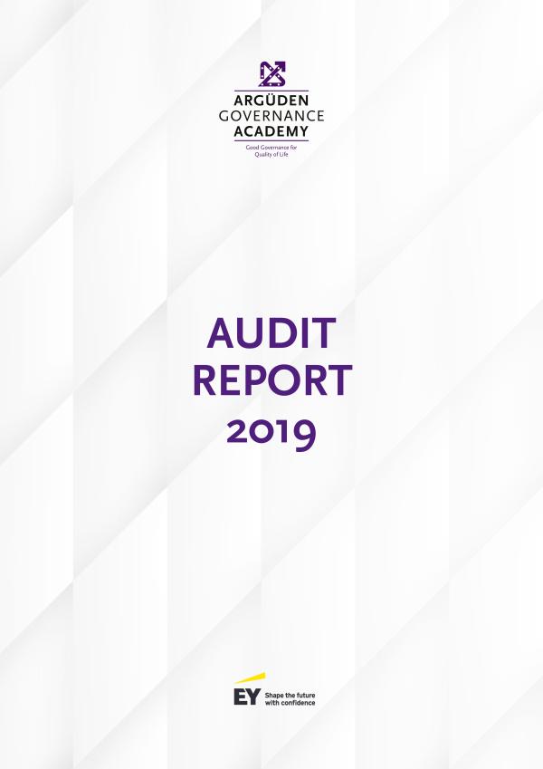 2019 Audit Report