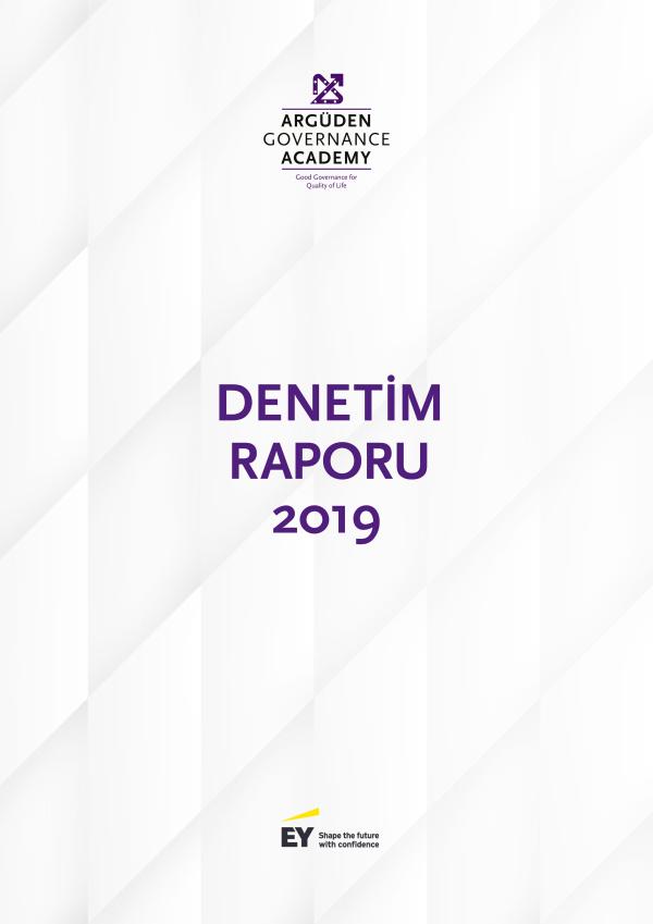 2019 Bağımsız Denetim Raporu