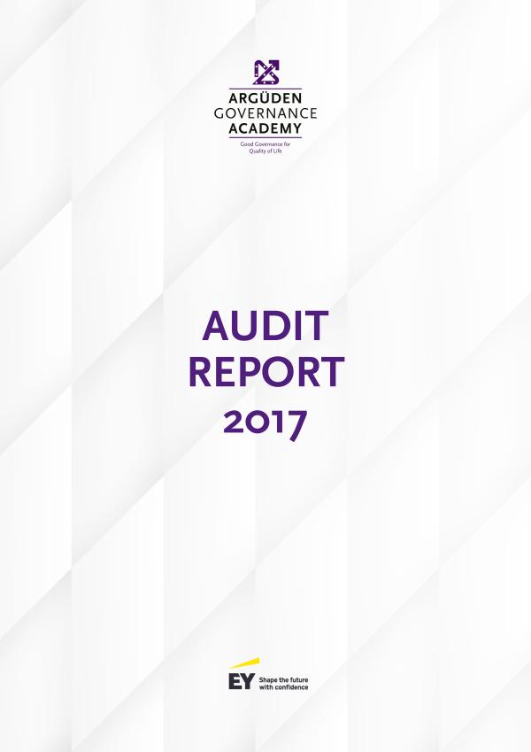 Audit Report 2017